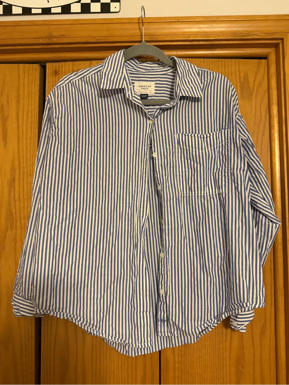 American Eagle Outfitters Blue and White Striped Button-Down Shirt